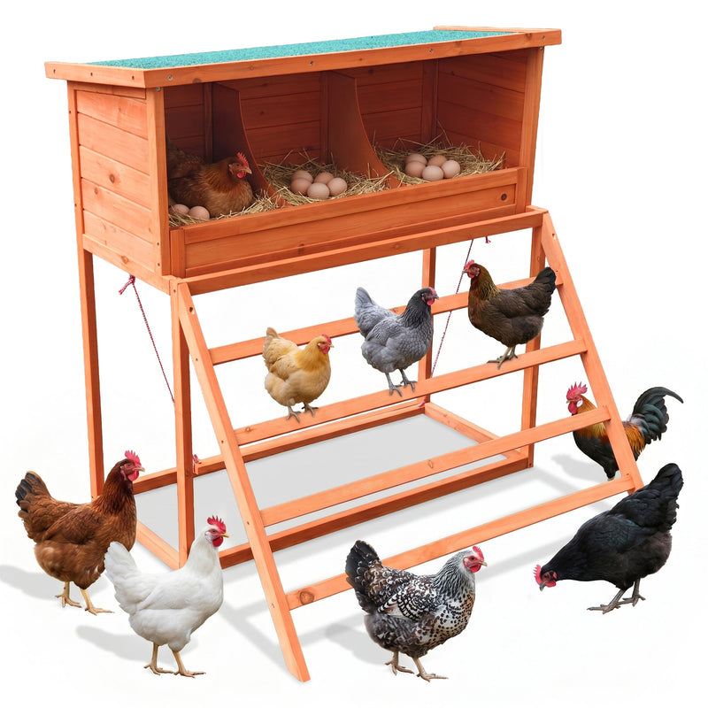 3-in-1 Nesting Boxes for Chickens with Perch and Swing by HouseOfZazla