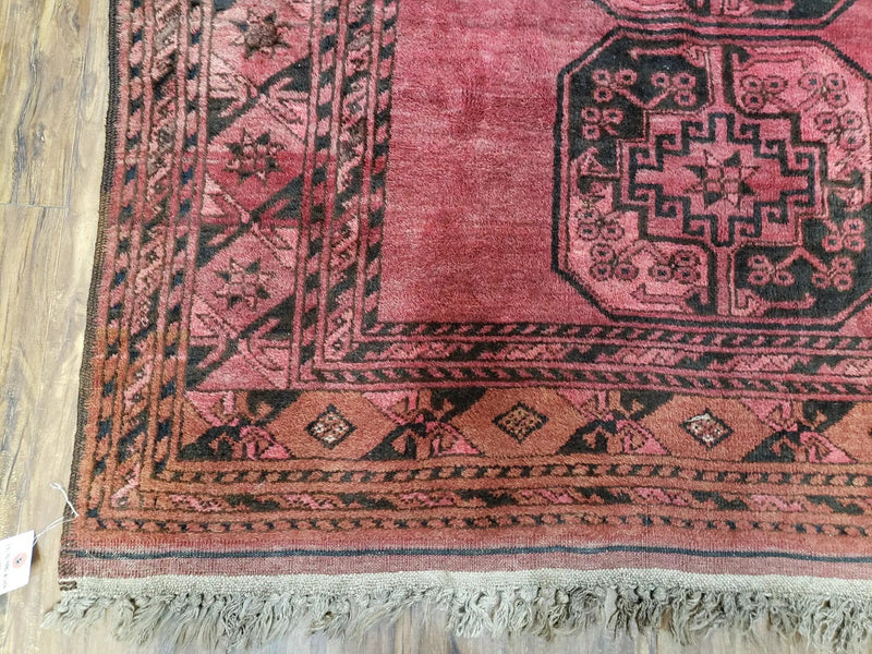 Antique Bukhara Area Rug, Vintage Afghan Bokhara Bashir Rug, 4x6 Hand-Knotted Oriental Carpet, Red & Black Wool Rug, 4' x 5'9 by Jewel Rugs