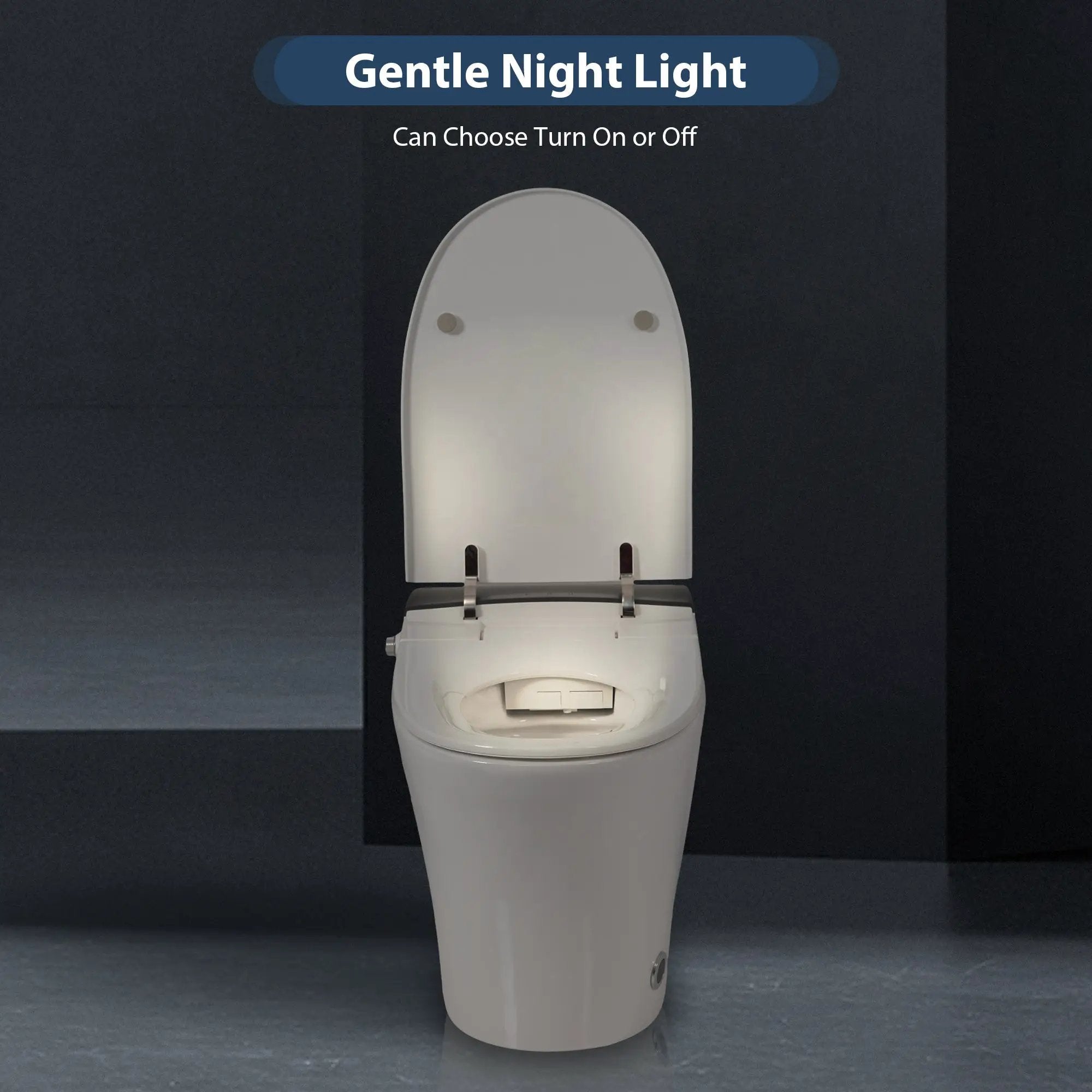 Heated Seat Smart Toilet, One Piece Design by HouseOfZazla