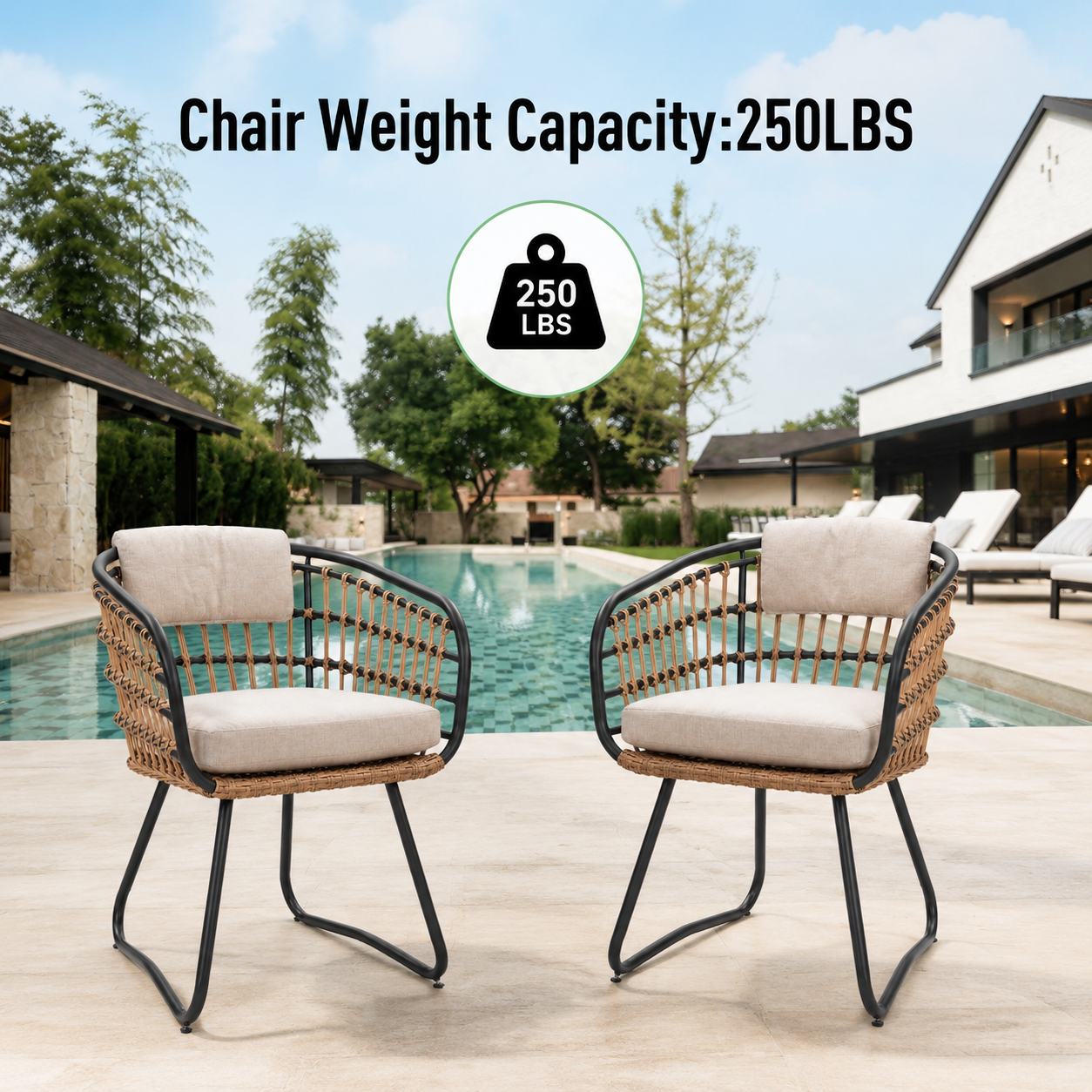 Outdoor Wicker Dining Chairs Set of 2 with Cushions by HouseOfZazla