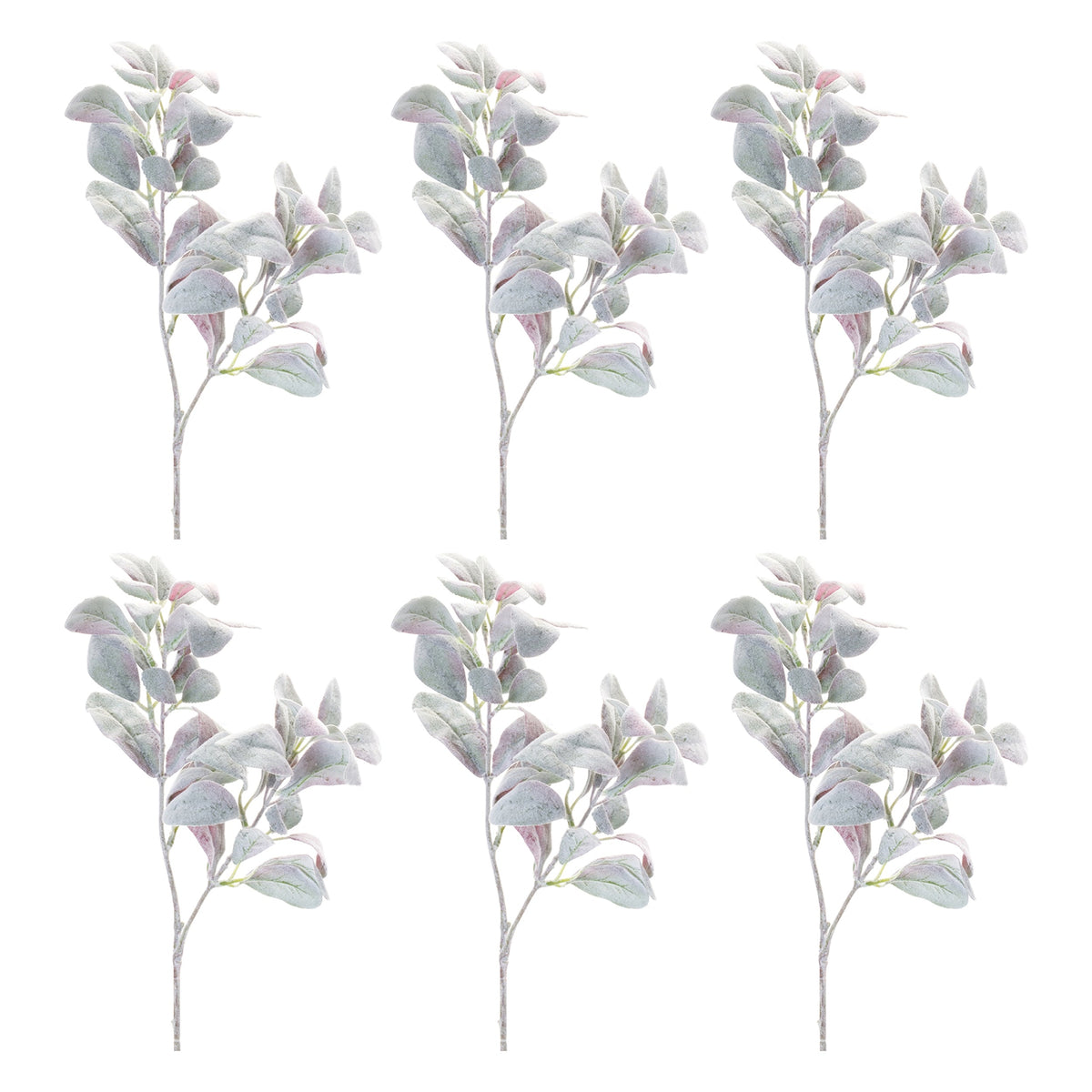 Lamb's Ear Leaf Bush (Set of 6), photo 3 of 3