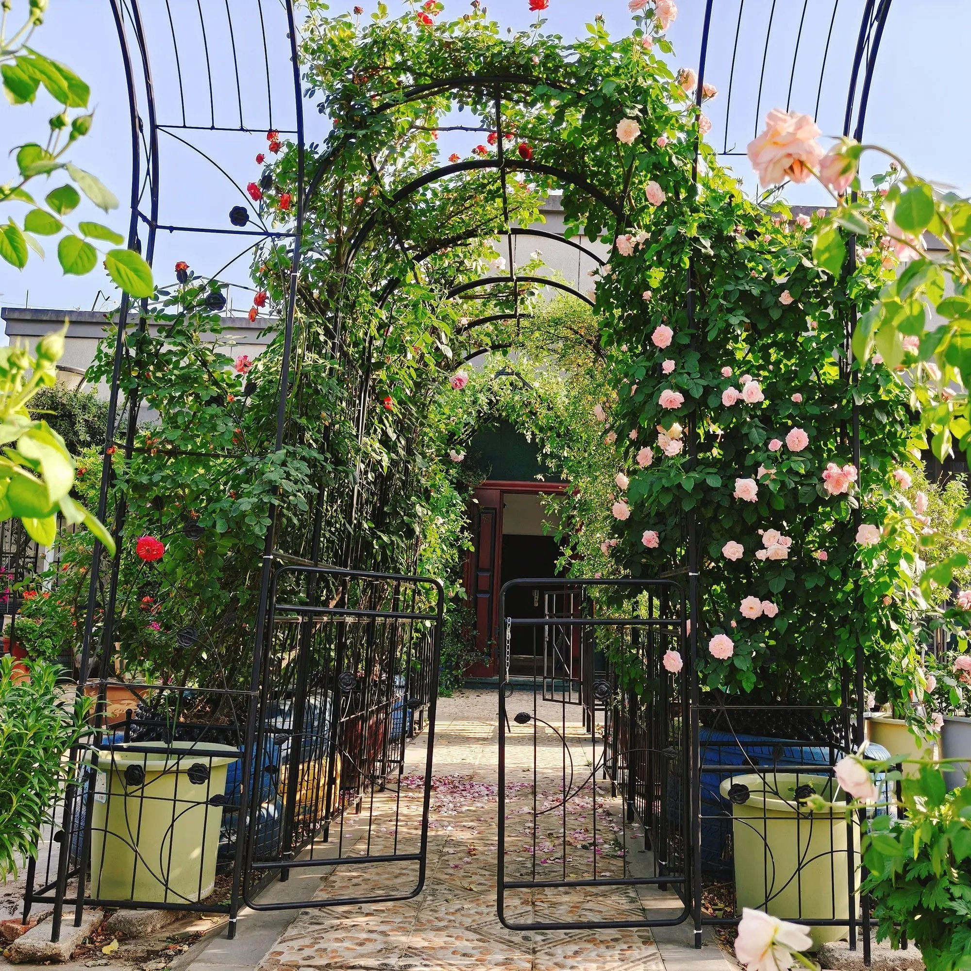 Metal Garden Arch With Gate Wide High Climbing Plants Support Rose Arch Outdoor - Black by HouseOfZazla