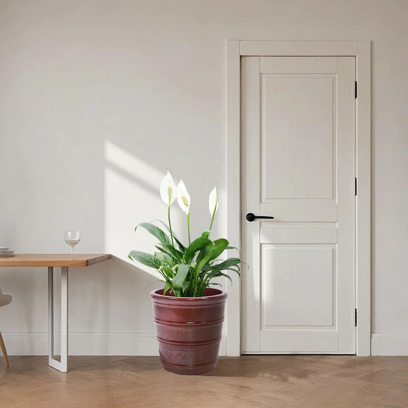 3 Pieces Flowerpot, Planter For Patio, Garden Or Windowsills by Unique Piece Furniture