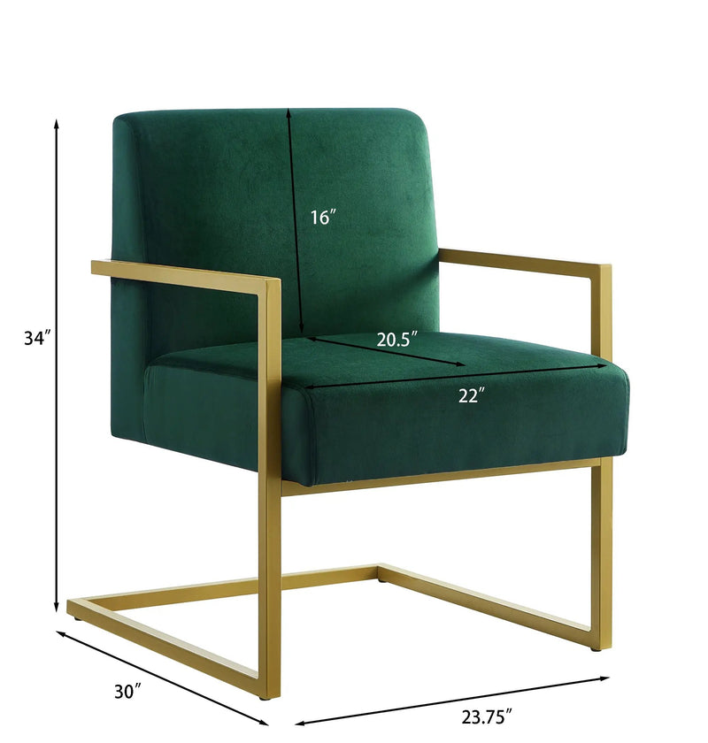 Fashion Velvet Accent Chair by HouseOfZazla