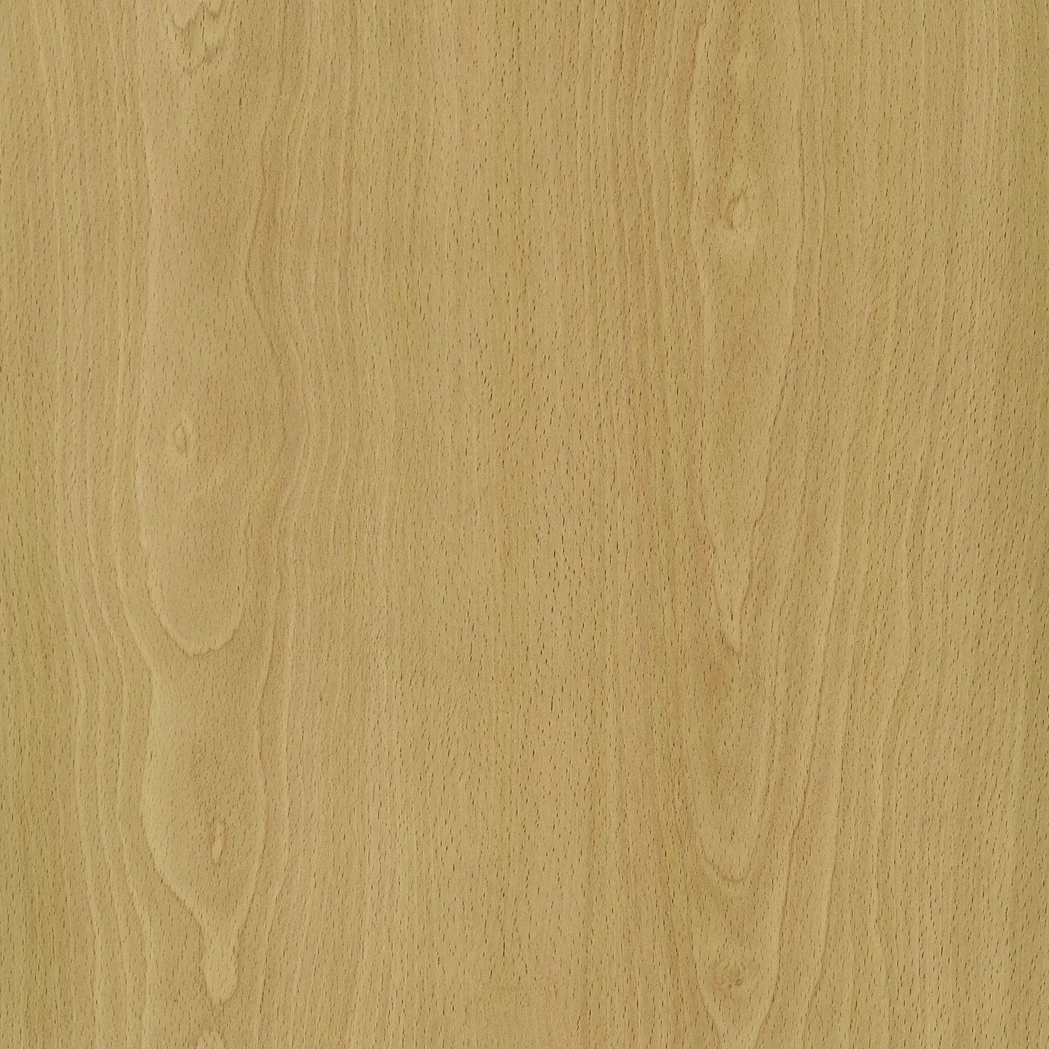Edwards 4-Panel Room Divider Folding Shoji Screen Natural by Unique Piece Furniture