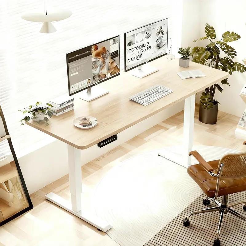 55"×24" Light Electric Standing Desk by HouseOfZazla