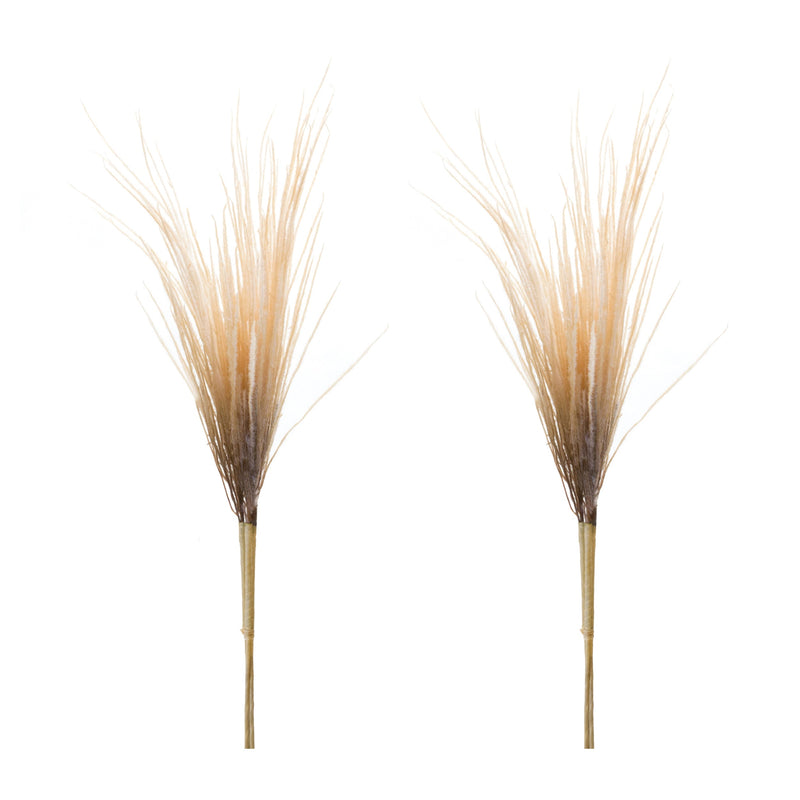 Grass Plume Bundle (Set of 2), photo 3 of 3