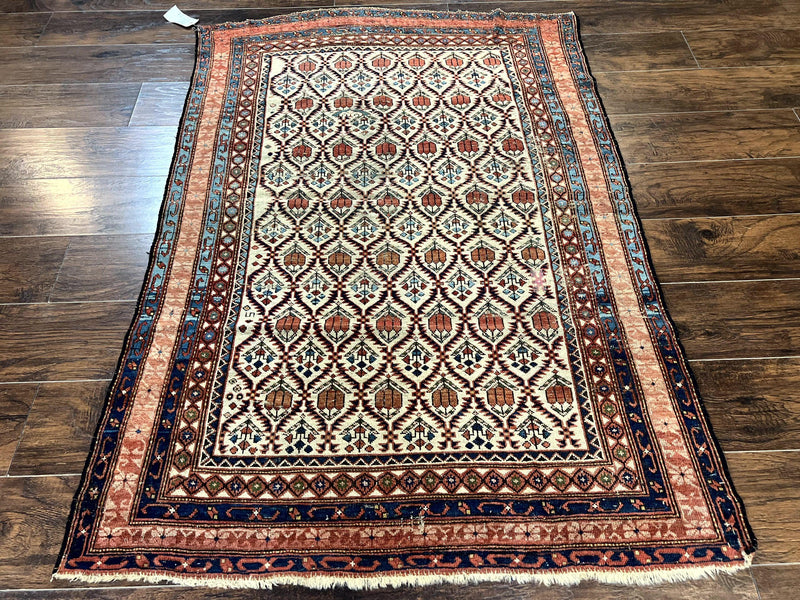 Antique Caucasian Rug 4x6, Hand Knotted Wool Carpet, Shirvan Rug by Jewel Rugs