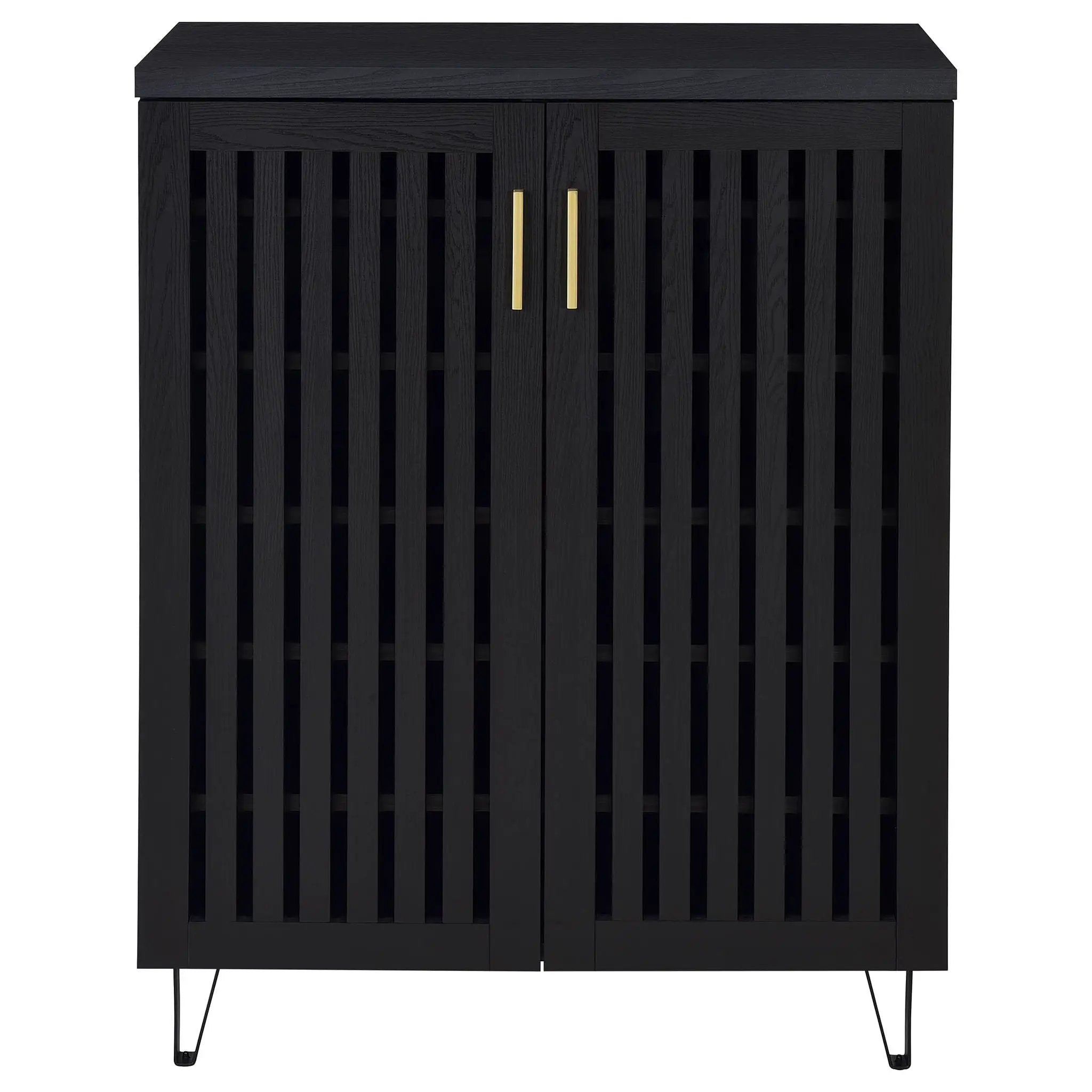 Brixton 2-door Entryway Shoe Storage Cabinets Black by Unique Piece Furniture