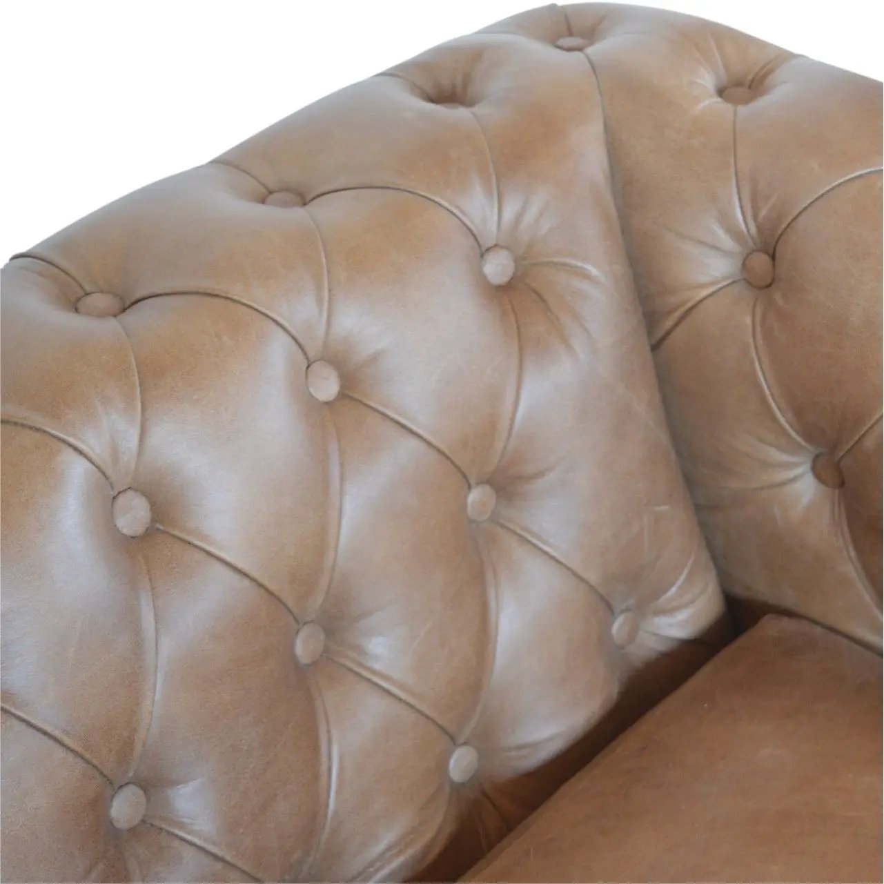 Buffalo - Chesterfield Sofa - Brown by HouseOfZazla