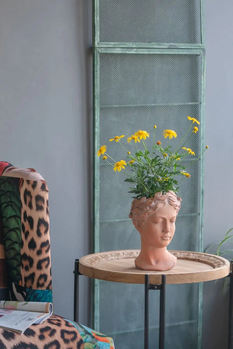 D7X11" Visage Head Bust Planter - Brown by HouseOfZazla