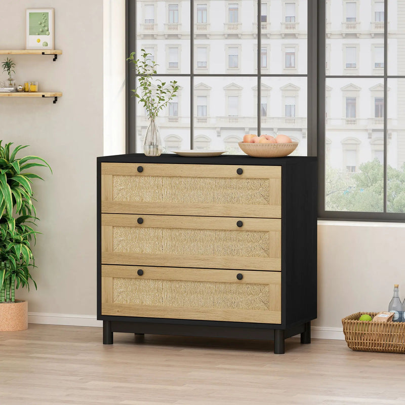 3 Drawer Storage Cabinet For Living Room by HouseOfZazla