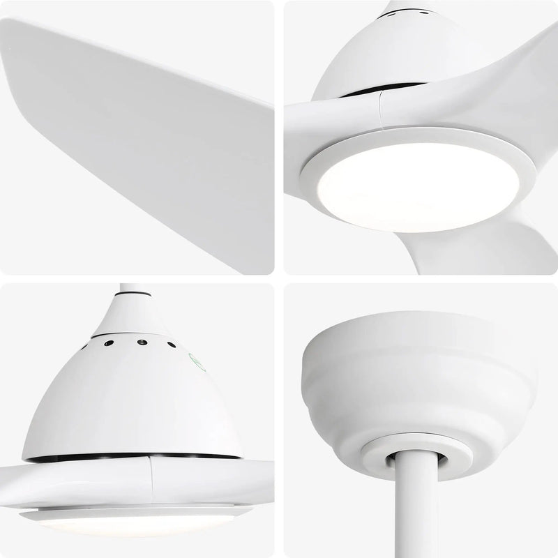 Bredoom Ceiling Fan With Remote Control And LED Light, Blades, Reversible DC Motor For Indoor / Outdoor Use by Unique Piece Furniture