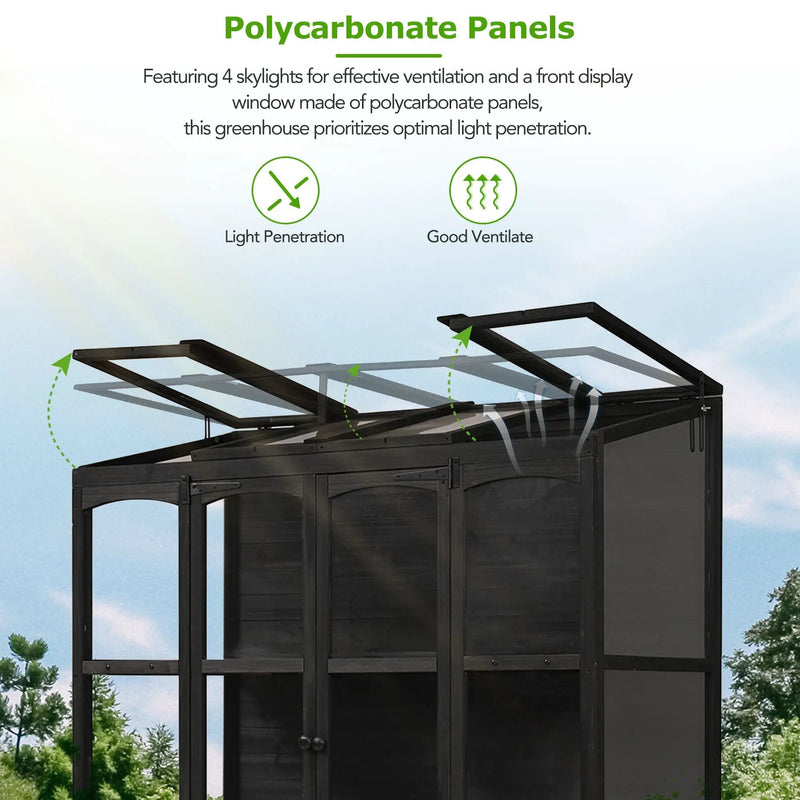 TOPMAX 78-inch Wooden Greenhouse Cold Frame with 4 Independent Skylights and 2 Folding Middle Shelves by HouseOfZazla