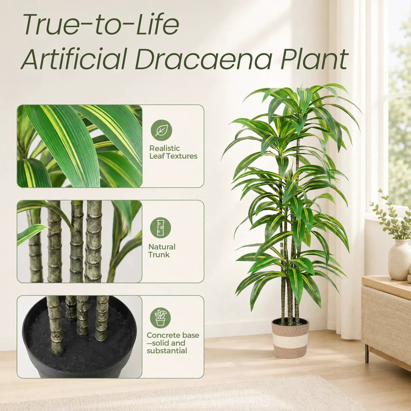Dracaena Artificial Plant Indoor - 5.5FT by HouseOfZazla