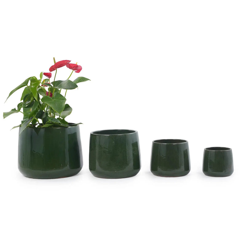Handmade Solid Glazed Ceramic Planter Set of 4 by HouseOfZazla