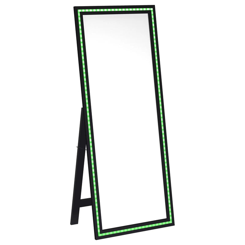 Windrose 28 x 67 Inch Tempered LED Standing Mirror Black by Unique Piece Furniture