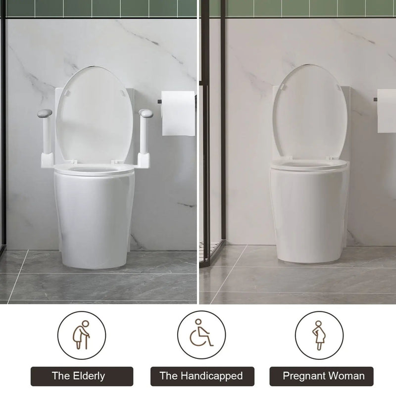 Upgraded Design Armrest, With Glossy Gw 007 1 Piece Toilet With Tornado Flush, Soft Close Seat, Dual Flush Map 1000G, Comfort Chair Seat - Gloss White by HouseOfZazla