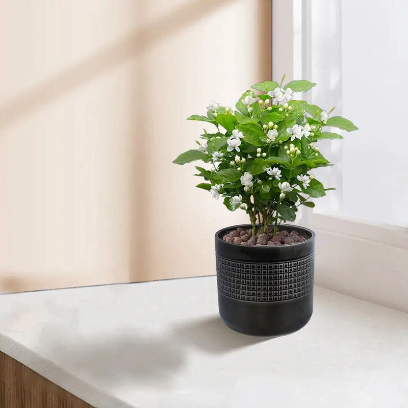Handmade Garden Pots & Planters by HouseOfZazla
