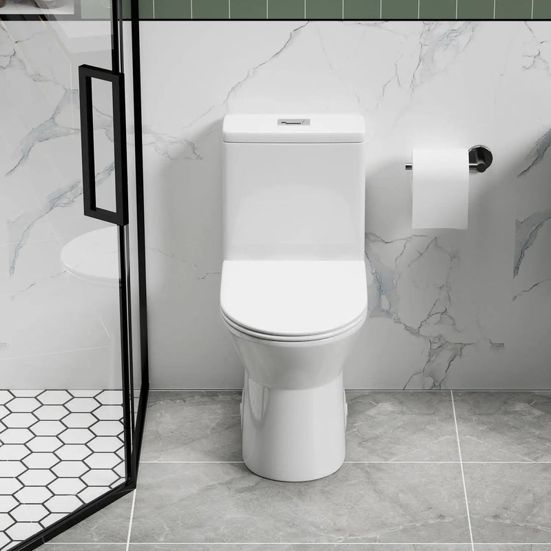 1 Piece Toilet With Dual Flush & Rimless Bowl - Glossy White by HouseOfZazla