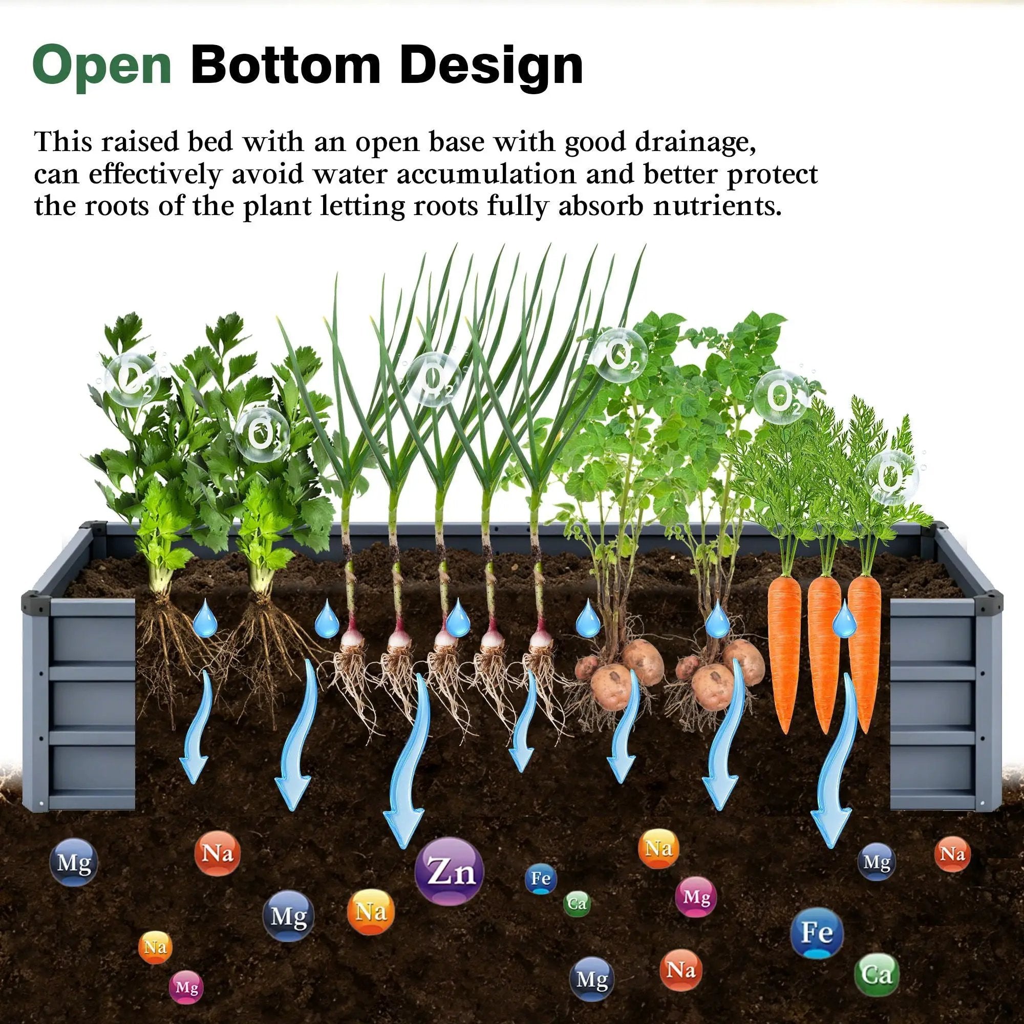 Large Garden Bed For Outdoor by HouseOfZazla