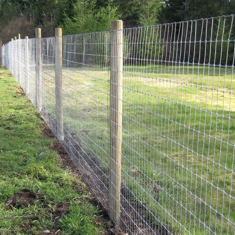 Farm Fence 3ft x 164ft 14-Gauge Heavy Zinc Coated Wire Fencing by HouseOfZazla