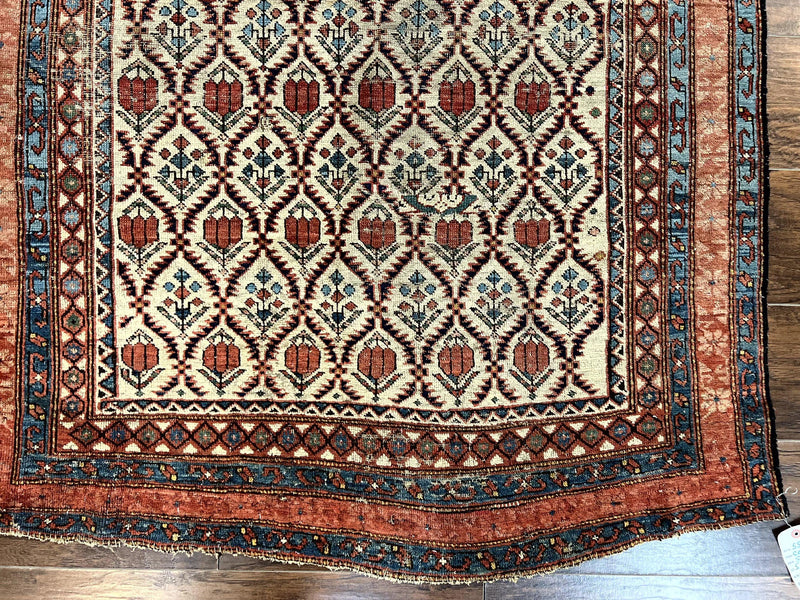 Antique Caucasian Rug 4x6, Hand Knotted Wool Carpet, Shirvan Rug by Jewel Rugs