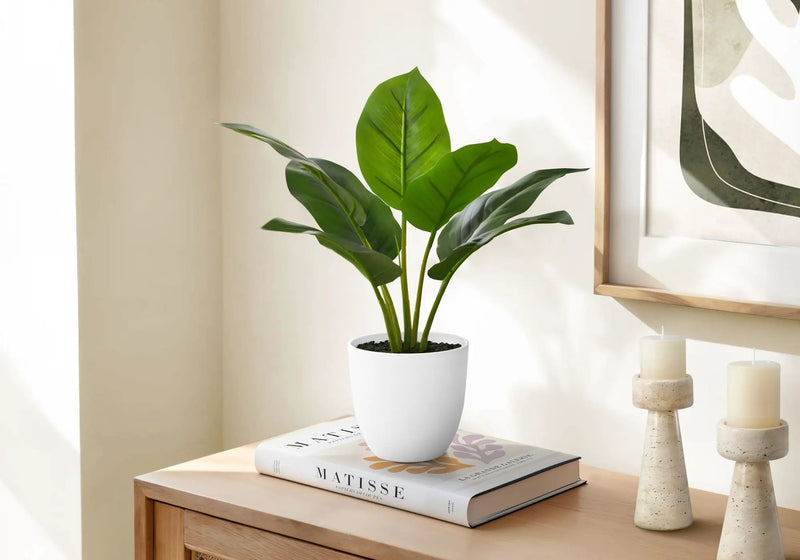 17" Tall, Artificial Plant, Aureum, Indoor, Faux, Fake, Table, Greenery, Potted, Real Touch, Decorative - Green / White by Unique Piece Furniture