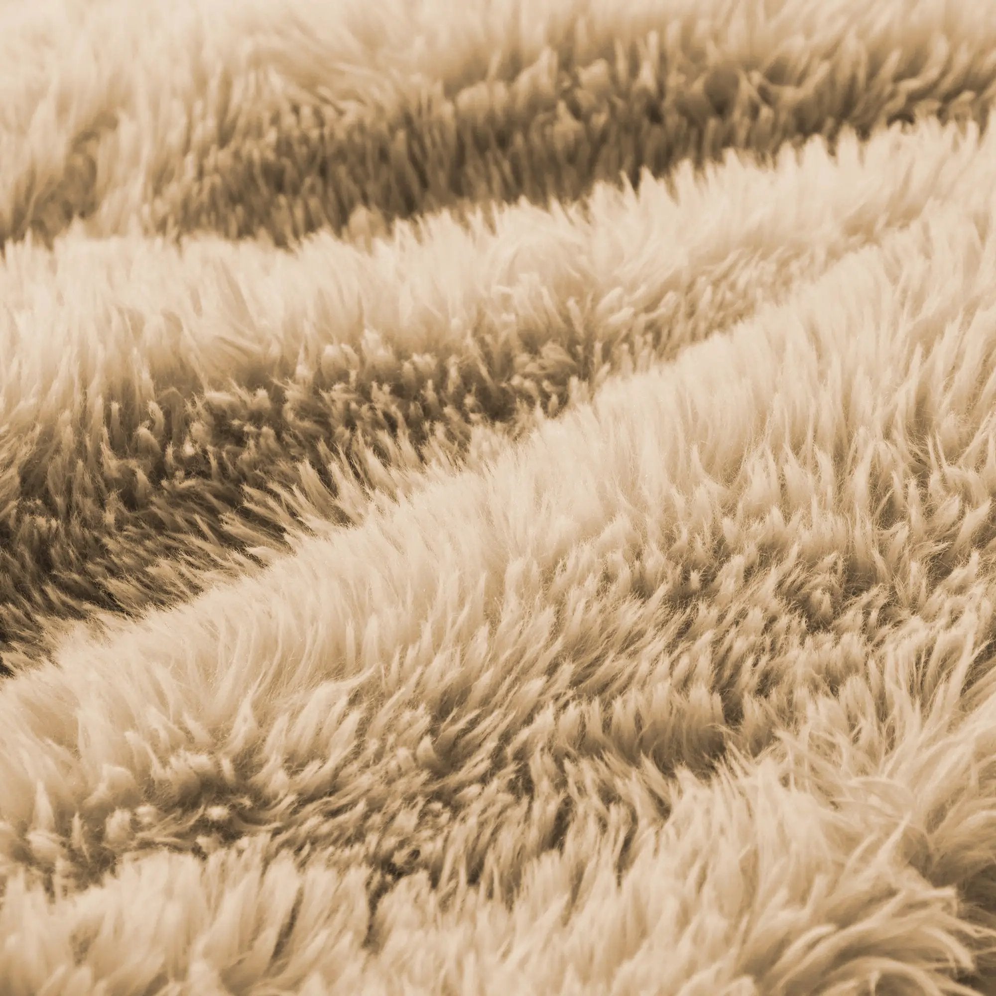 Aviana Ottoman Plush Fabric - Light Khaki by HouseOfZazla