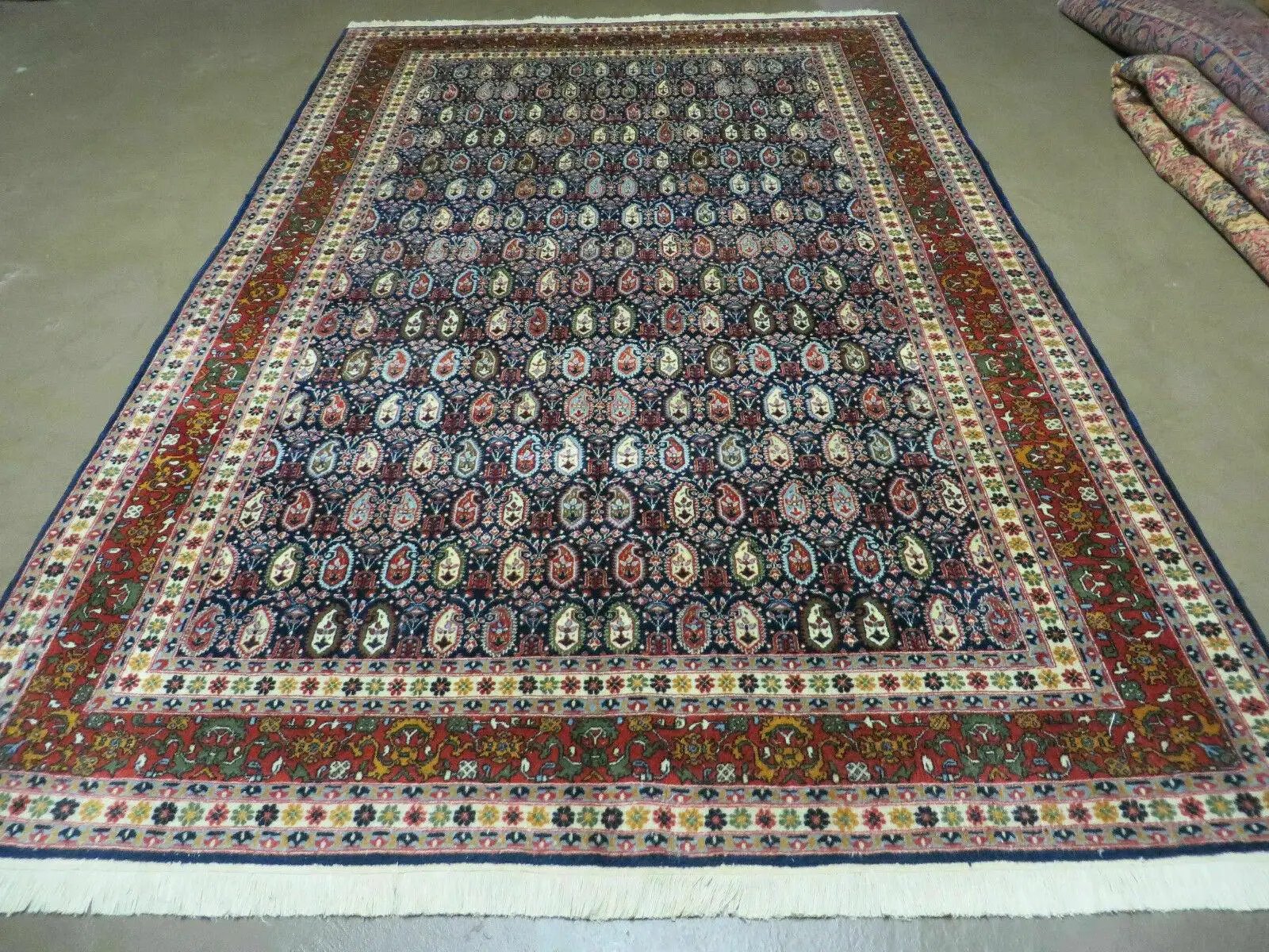 6' X 9' Vintage Fine Handmade India Paisley Rug Hand Knotted Carpet Organic Dye by Jewel Rugs