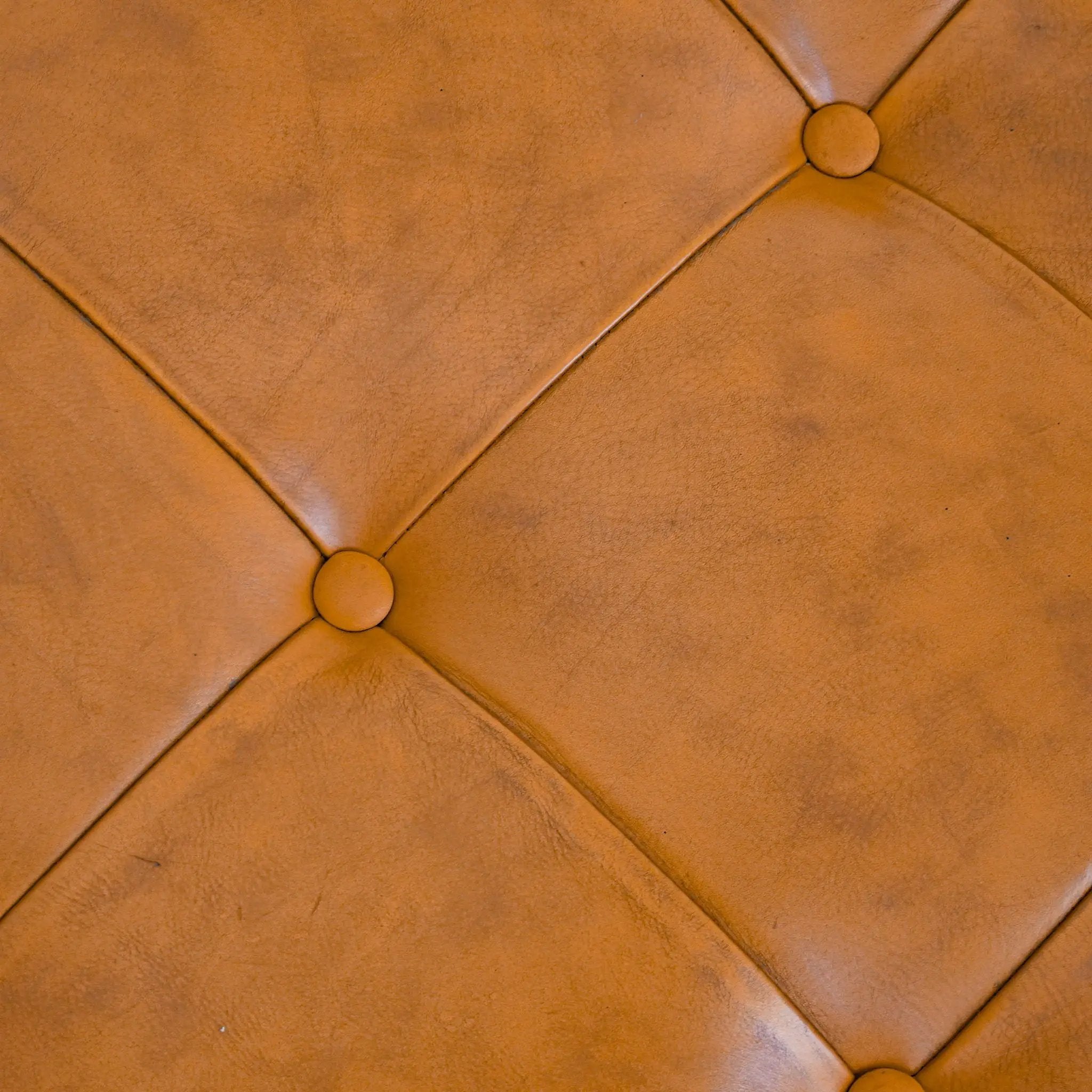 Seletar - Ottoman - Light Tan by HouseOfZazla