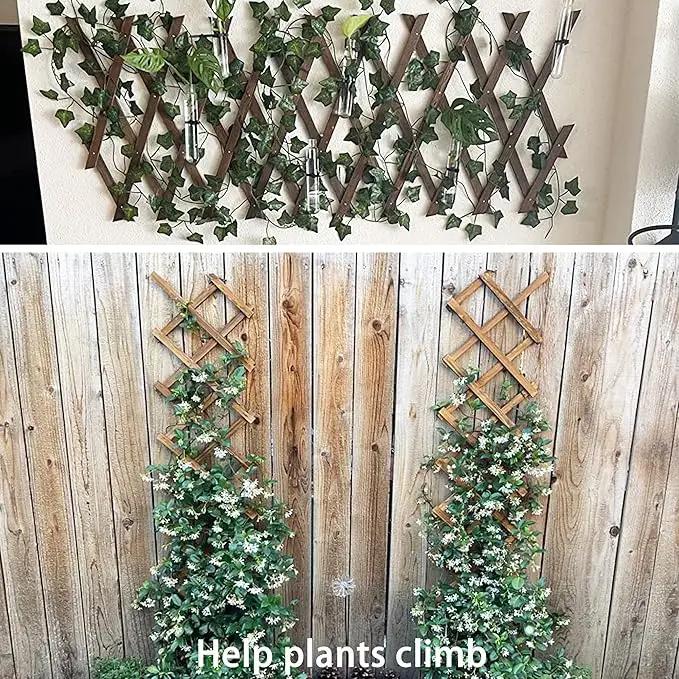 Wooden Lattice Wall 2Pack-Expandable Plant Garden Trellis for Climbing Plants Outdoor Air Plant Vertical Rack Wall Decor for Room Patio by GreenHaven Gardens