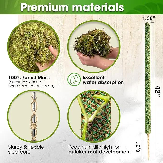 DUSPRO 42’’ Mesh Moss Pole for Plants, Tall Trellis for Climbing Monstera Plant Support, Sphagnum Moss Stick for Big Climbing Indoor Plant, Handmade Plant Stakes for Houseplant by GreenHaven Gardens