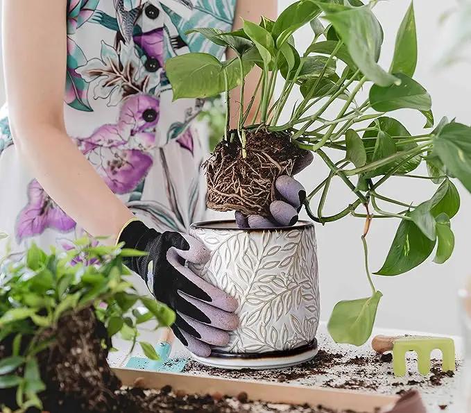 D'vine Dev 6 Inch Embossed Leaves Stoneware Planter Pot with Drainage Hole and Saucer, Smoked White, Set of 1, 27-A-X-1 by GreenHaven Gardens