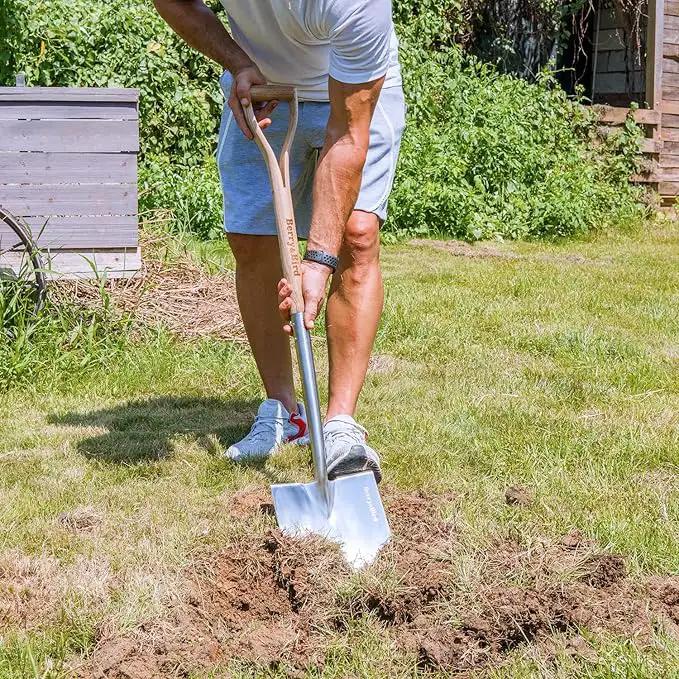 Berry&Bird Shovels for Digging, 43’’ Round Spade Heavy Duty Shovel with Wooden D Handle Stainless Steel Snow Shovel Garden Shovel Yard for Transplanting & Outdoor by GreenHaven Gardens