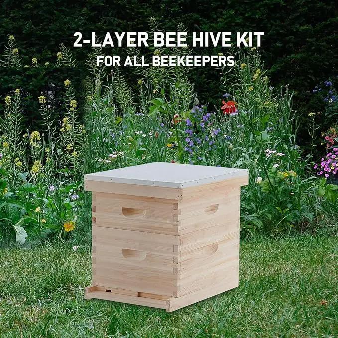 CREWORKS Bee Hive Boxes 10 Frame Langstroth Beehive, Bee Keeping Starter Kit Includes 1 Super Bee Box & 1 Bee Brood Box with Beehive Frames and Foundation, 2 Layers Complete Bee Hive Kit by GreenHaven Gardens
