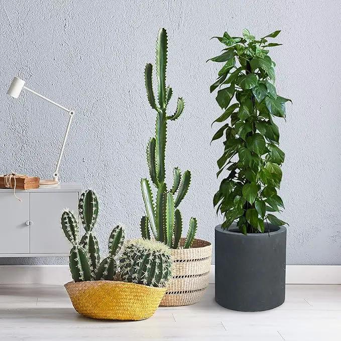 Kante 9.8" Dia Round Concrete Planter, Modern Style Large Cylindrical Plant Pot with Drainage Hole and Rubber Plug for Indoor Outdoor Patio, Charcoal by GreenHaven Gardens
