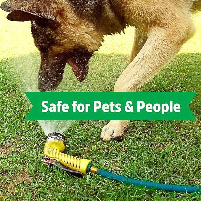 Back to the Roots Kink Resistant, BPA-Free Garden Hose, 50ft by GreenHaven Gardens