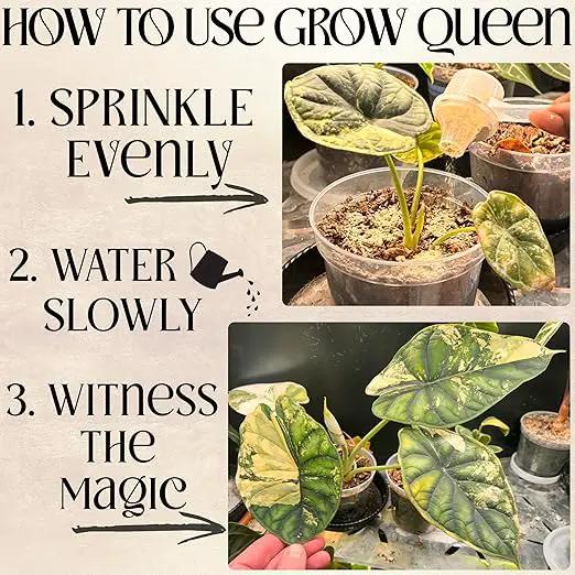 The All-in-One Complete Organic Plant Food, Indoor Plant Food for Houseplants, Organic Fertilizer for Vegetable Gardens, 1lb = 25 Formulated Servings Feeds 50 gal Instantly and Slow Release by GreenHaven Gardens