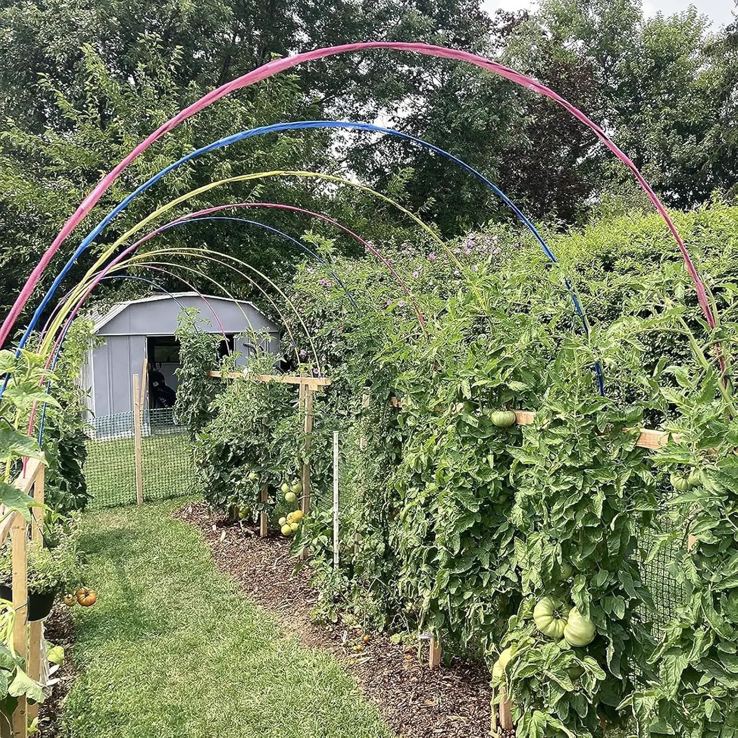Garden Hoops Grow Tunnel, 12 Sets of 7FT Greenhouse Hoops for Raised Beds, Rust-Proof Fiberglass Frame for Garden Netting, Small Greenhouse Kit, DIY Plant Support Garden Stakes, 60 pcs by GreenHaven Gardens