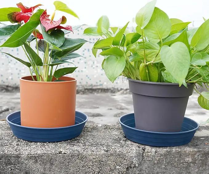 Plant Saucer 6 Inch 4 Pack 6 8 10 12 14 16 18 20 25, Plastic Plant Trays for Pots，Extra-Deep Plant Water Dray Tray, Bird Bath Bowl, Heavy Flower Plant saucers Indoors and Outdoor No Holes 6in-4 blue by GreenHaven Gardens