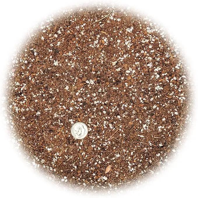 Professional Carnivorous Plant Soil - Ready to Use for Venus Flytraps, Sundews, Pitcher Plants, Butterworts | Peat Moss, Coco Coir, Perlite - 1 Quart Bag by GreenHaven Gardens