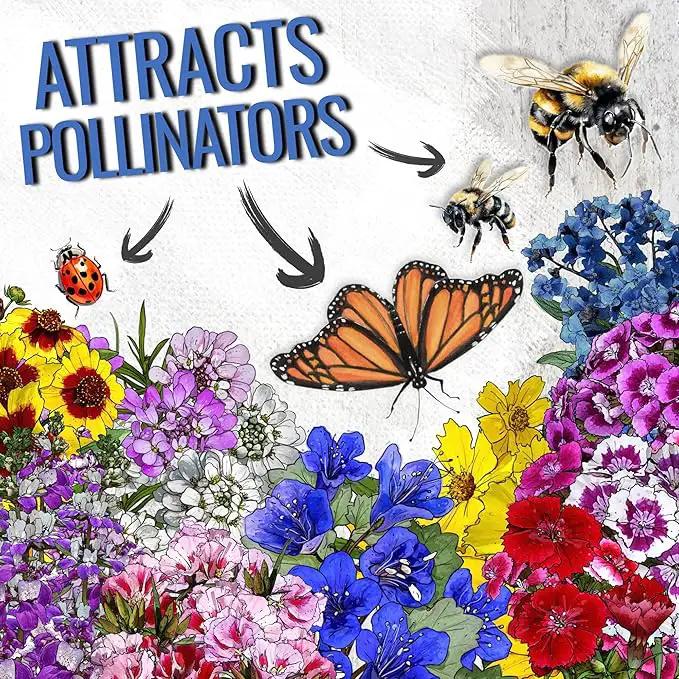 Seed Needs Low Growing Wildflower Flower Seeds for Planting | 5 Packs (1 Ounce Each) Mixture/Blend 17 Varieties | Resealable Package Multicolored Blooms Open Pollinated Mixed Species | Bulk by GreenHaven Gardens