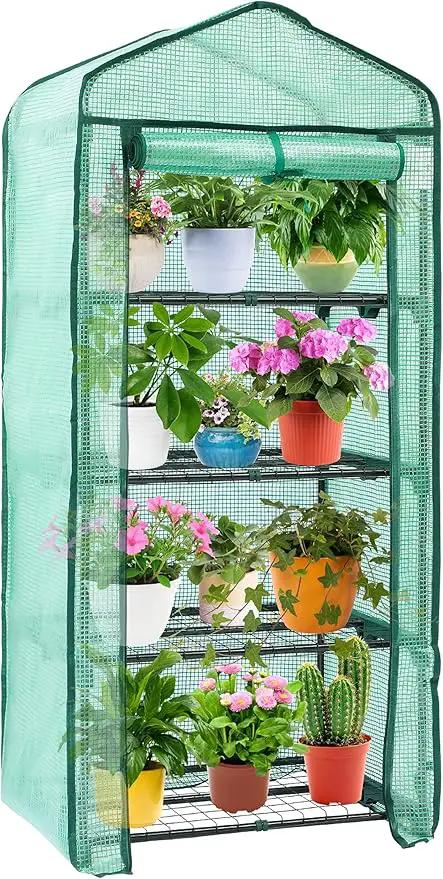 Ohuhu Mini Greenhouse for Indoor Outdoor, Small Plastic Plant Green House 4-Tier Rack Stand Portable Greenhouses with Durable PE Cover for Seedling, 2.5x1.6x5.2 FT, Ideal Gardening Gifts for Women Men by GreenHaven Gardens