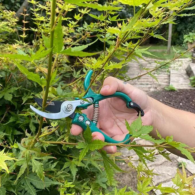 Modern Sprout Hand Pruners - Lightweight Pruning Shears W/Easy Lock- Gardening Scissors - Bypass Sharp Carbon Steel Blade - Rust Resistant - Garden Tools - Reusable Holster - Ocean by GreenHaven Gardens
