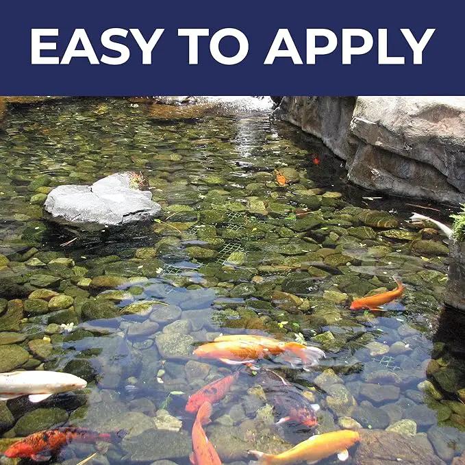 Ultimate Pond Bacteria, Outdoor Pond & Lake Natural Beneficial Bacteria Treatment, Aquatic Odor Reducer & Sludge Digester, Fish, Plant, & Livestock Safe, Easy Dosing Liquid, 1 Gallon Bottle by GreenHaven Gardens