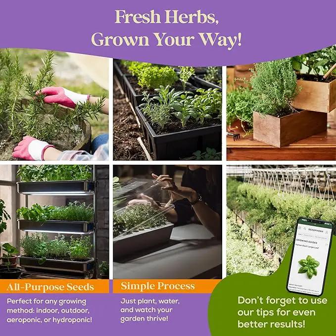 25 Culinary Classic Herb Seeds Variety Pack - 13,055+ Non-GMO Heirloom Herbs Seeds for Planting Indoor & Outdoor: Lavender, Rosemary, Dill, Mint, Catnip, Basil - Gardening Seeds Packets by GreenHaven Gardens