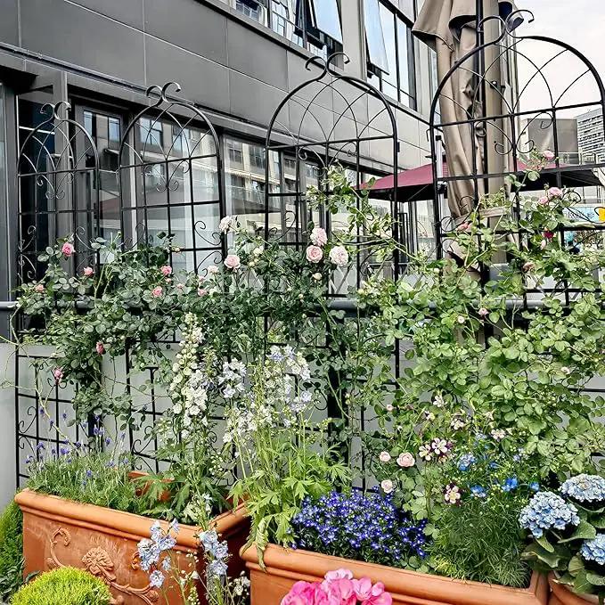 8 Pack Metal Garden Trellis 71" H Garden Fence Rustproof Trellis for Climbing Plants Support Roses Flower Outdoor Lawn Black by GreenHaven Gardens