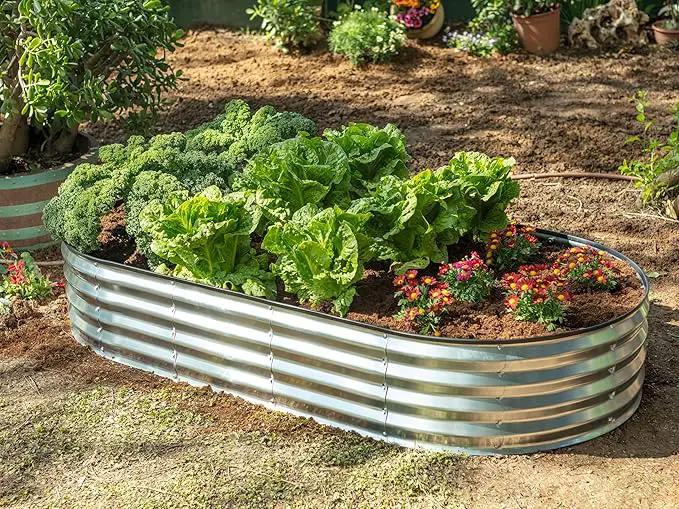 Galvanized Raised Garden Beds Outdoor // 6×3×1 ft (2-Pack) Planter Raised Beds for Gardening, Vegetables, Flowers // Large Metal Garden Box // Patented Tool-Free Design (Silver) by GreenHaven Gardens