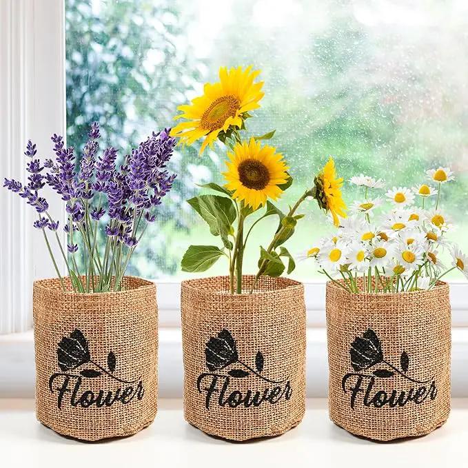 5 Kit - Growing into Shasta Daisy, Cornflower, Sunflower, Zinnia, Lavender for Indoor Outdoor Garden DIY Gifts by GreenHaven Gardens